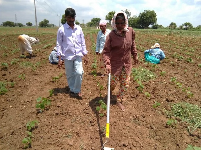 17 Point Guidelines by Agriculture Ministry for safe farming operations